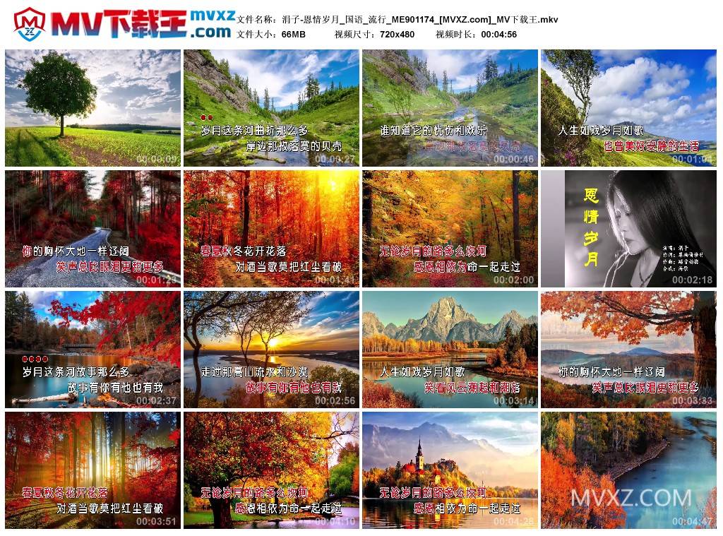 涓子-恩情岁月_国语_流行_ME901174
